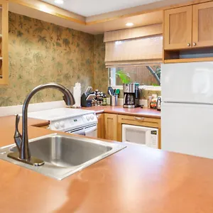 Lotus In A Boutique Resort, 1bedroom Sleeps 4 , Kihei United States